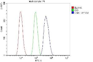 Flow Cytometry analysis of SiHa cells using anti-CHAT antibody (ABIN7600920). (Choline Acetyltransferase antibody  (AA 25-731))
