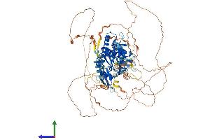 Protein Structure (PS) image for CTD (Carboxy-terminal Domain, RNA Polymerase II, Polypeptide A) Phosphatase, Subunit 1 (CTDP1) (AA 1-961) protein (His tag) (ABIN7553562)