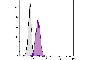 Human peripheral blood granulocytes were stained with Mouse Anti-Human CD11c-PACBLU. (CD11c antibody  (Biotin))