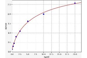 Typical standard curve (WNT4 ELISA Kit)