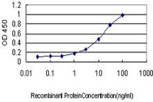 Detection limit for recombinant GST tagged DAZ1 is approximately 0. (DAZ1 antibody  (AA 21-120))