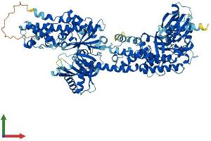 AlphaFold protein structure predicition of Mouse Recombinant Hk3 Protein, UniprotID Q3TRM8 (HK3 Protein (AA 1-922) (His tag))