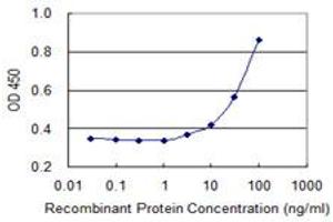 Detection limit for recombinant GST tagged FPR2 is 1 ng/ml as a capture antibody. (FPR2 antibody  (AA 163-205))