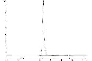 Size-exclusion chromatography-High Pressure Liquid Chromatography (SEC-HPLC) image for Folate Receptor 1 (Adult) (FOLR1) (AA 25-233) protein (Fc Tag) (ABIN7274666)