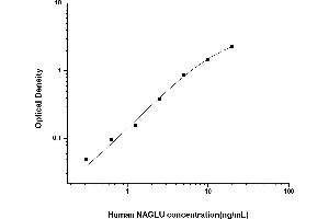 Typical standard curve (N-Acetyl alpha-D-Glucosaminidase ELISA Kit)