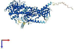 GRK2 Protein (AA 1-689) (His tag)