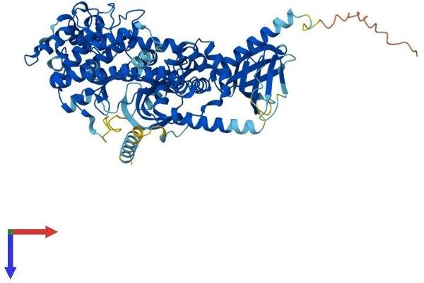 GRK2 Protein (AA 1-689) (His tag)