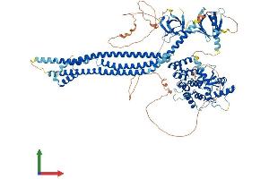AlphaFold protein structure predicition of Mouse Recombinant Asap2 Protein, UniprotID Q7SIG6 (ASAP2 Protein (AA 1-958) (His tag))