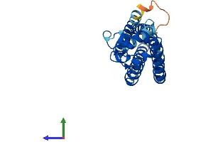 AlphaFold protein structure predicition of Human Recombinant TSPAN7 Protein, UniprotID P41732