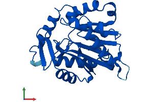 Protein Structure (PS) image for Methyltransferase Like 11A (METTL11A) (AA 1-223) protein (His tag) (ABIN7549930)