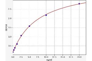 C1QTNF1 ELISA Kit