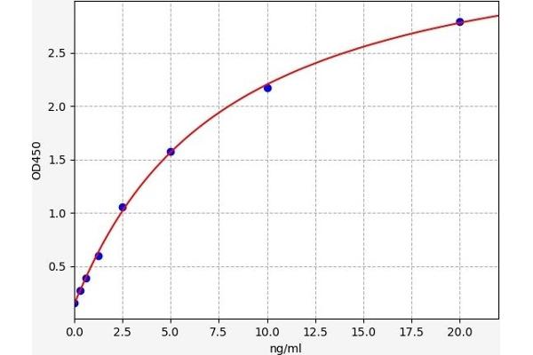 C1QTNF1 ELISA Kit
