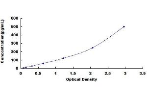 ELISA image for Oncostatin M (OSM) ELISA Kit (ABIN413953)