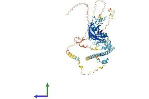 AlphaFold protein structure predicition of Mouse Recombinant Dlec1 Protein, UniprotID Q8BLA1 (DLEC1 Protein (AA 1-635) (His tag))