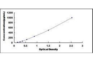 Typical standard curve (Cathepsin D ELISA Kit)