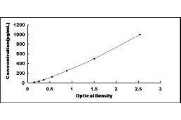 Cathepsin D ELISA Kit