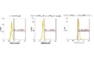 Flow Cytometry (FACS) image for anti-Complexin 1 (CPLX1) (AA 1-134) antibody (PE) (ABIN5565320) (Complexin 1 antibody  (AA 1-134) (PE))