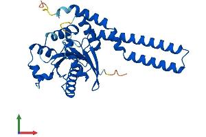 AlphaFold protein structure predicition of Human Recombinant GIMAP7 Protein, UniprotID Q8NHV1 (GIMAP7 Protein (AA 1-300) (His tag))