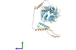 AlphaFold protein structure predicition of Human Recombinant ZNF616 Protein, UniprotID Q08AN1 (ZNF616 Protein (AA 1-781) (His tag))