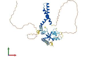 AlphaFold protein structure predicition of Mouse Recombinant Dnttip1 Protein, UniprotID Q99LB0 (DNTTIP1 Protein (AA 1-328) (His tag))