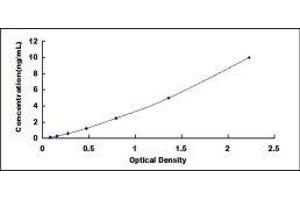 Dual Oxidase 2 (DUOX2) ELISA Kit