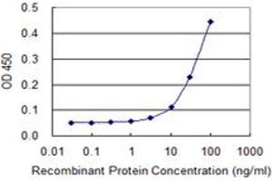 Detection limit for recombinant GST tagged HBG1 is 3 ng/ml as a capture antibody. (HBG1 antibody  (AA 1-147))