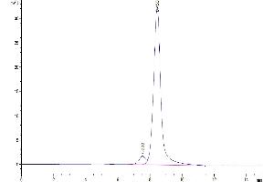 The purity of Human GITR Ligand (Trimer) is greater than 95 % as determined by SEC-HPLC. (TNFSF18 Protein (Trimer) (Fc Tag))