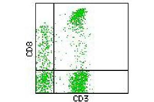 Flow Cytometry (FACS) image for anti-CD3/CD8 antibody (FITC,PE) (ABIN2144396) (CD3/CD8 antibody (FITC,PE))