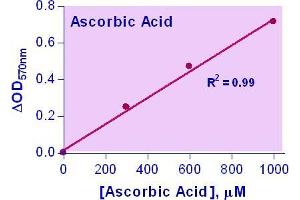 Biochemical Assay (BCA) image for Ascorbic Acid Assay Kit (ABIN1000291) (Ascorbic Acid Assay Kit)