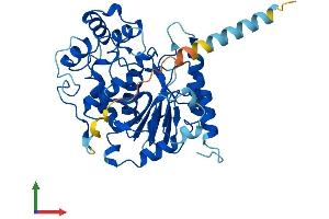 AlphaFold protein structure predicition of Mouse Recombinant B3gnt8 Protein, UniprotID Q8R3I9 (B3GNT8 Protein (AA 1-389) (His tag))