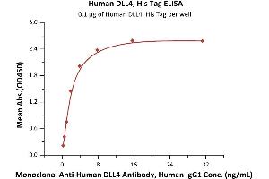Immobilized Human DLL4, His Tag (ABIN2180972,ABIN2180971) at 1 μg/mL (100 μL/well) can bind Monoclonal A DLL4 Antibody, Human IgG1 with a linear range of 0. (DLL4 Protein (AA 27-524) (His tag))
