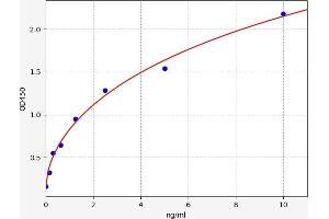 DnaJ (Hsp40) Homolog, Subfamily B, Member 3 (DNAJB3) ELISA Kit