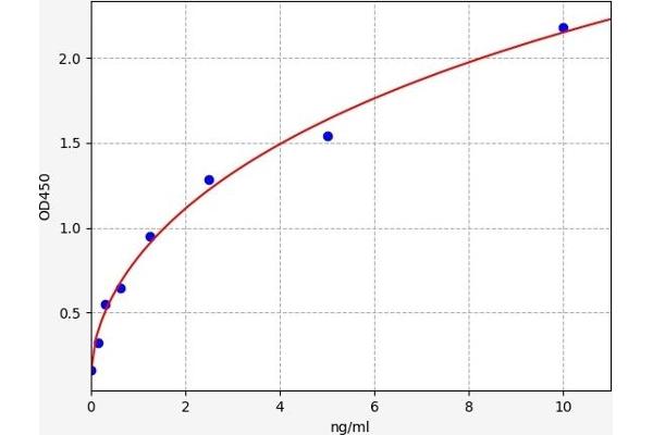 DnaJ (Hsp40) Homolog, Subfamily B, Member 3 (DNAJB3) ELISA Kit