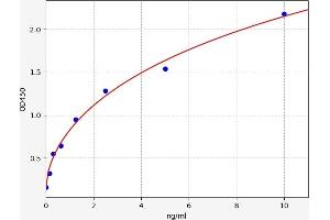 Typical standard curve (DnaJ (Hsp40) Homolog, Subfamily B, Member 3 (DNAJB3) ELISA Kit)