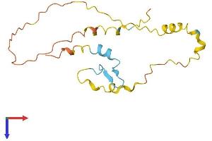 AlphaFold protein structure predicition of Human Recombinant C17orf50 Protein, UniprotID Q8WW18 (C17ORF50 Protein (AA 1-174) (His tag))