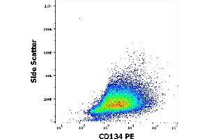 Flow cytometry surface staining pattern of human PHA stimulated peripheral blood mononuclear cells stained using anti-human CD134 (Ber-ACT35) PE antibody (10 μL reagent per milion cells in 100 μL of cell suspension). (TNFRSF4 antibody  (PE))