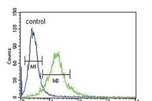 Flow Cytometry (FACS) image for anti-X-Ray Repair Complementing Defective Repair in Chinese Hamster Cells 6 (XRCC6) (AA 432-461) antibody (ABIN652244)