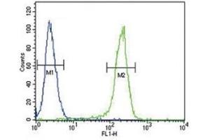CCR7 antibody flow cytometric analysis of 293 cells (right histogram) compared to a negative control (left histogram).