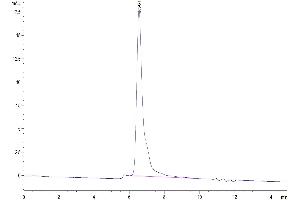The purity of Mouse TNFSF15 is greater than 95 % as determined by SEC-HPLC. (TNFSF15 Protein (AA 61-252) (Fc Tag))