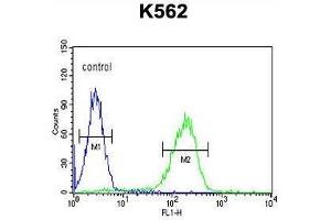 APOL6 Antibody (Center) flow cytometric analysis of K562 cells (right histogram) compared to a negative control cell (left histogram). (APOL6 antibody  (Middle Region))