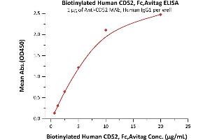Immobilized A MAb, Human IgG1 at 10 μg/mL (100 μL/well) can bind Biotinylated Human CD52, Fc,Avitag (ABIN5526650,ABIN5526651) with a linear range of 0. (CD52 Protein (CD52) (AA 25-36) (Fc Tag,AVI tag,Biotin))