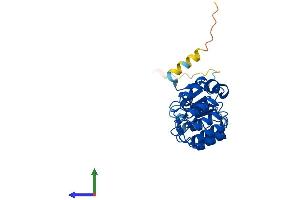 AlphaFold protein structure predicition of Human Recombinant FBXL15 Protein, UniprotID Q9H469