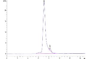 The purity of Biotinylated Human Siglec-5 is greater than 95 % as determined by SEC-HPLC. (SIGLEC5 Protein (AA 17-434) (His-Avi Tag,Biotin))