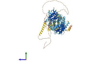 Protein Structure (PS) image for Adenylate Cyclase 8 (Brain) (ADCY8) (AA 1-1251) protein (His tag) (ABIN7552028)