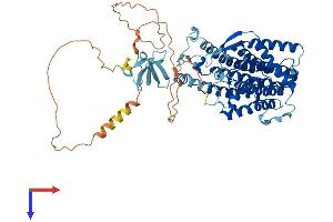 AlphaFold protein structure predicition of Mouse Recombinant Lbr Protein, UniprotID Q3U9G9 (Lamin B Receptor Protein (LBR) (AA 1-626) (His tag))