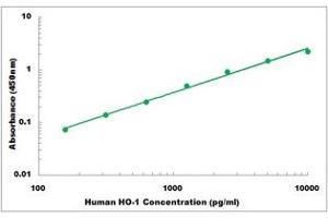 Representative Standard Curve (HMOX1 ELISA Kit)