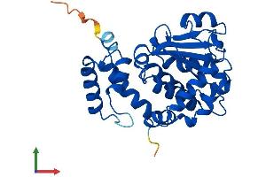 AlphaFold protein structure predicition of Human Recombinant TTPA Protein, UniprotID P49638