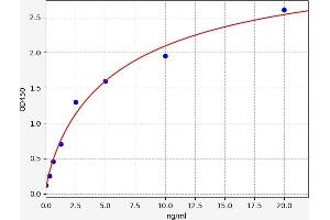 Typical standard curve (Neurturin ELISA Kit)