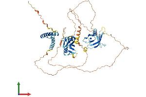 Protein Structure (PS) image for SH2B Adaptor Protein 3 (SH2B3) (AA 1-548) protein (His tag) (ABIN7562241)