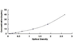 Typical standard curve (TGFBI ELISA Kit)